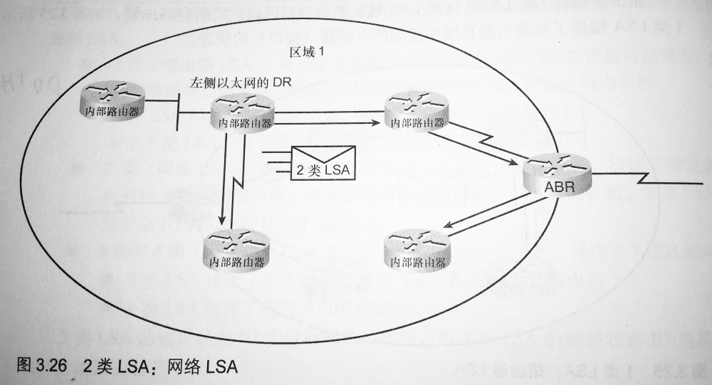 2 类 LSA：网络 LSA